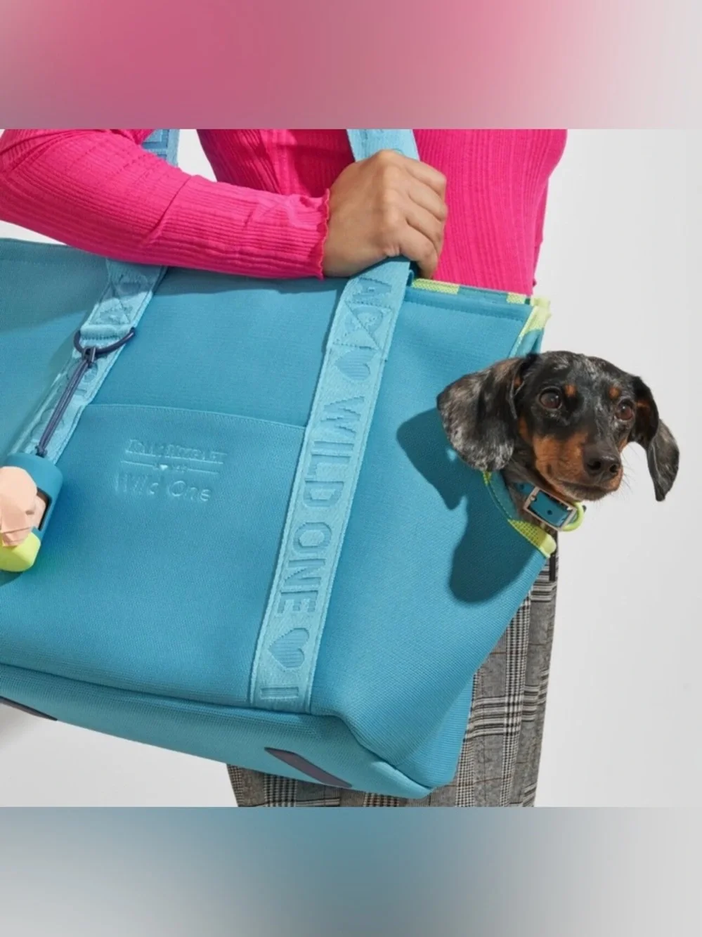 Isaac Mizrahi Wild One Everyday Pet Carrier - Turquoise